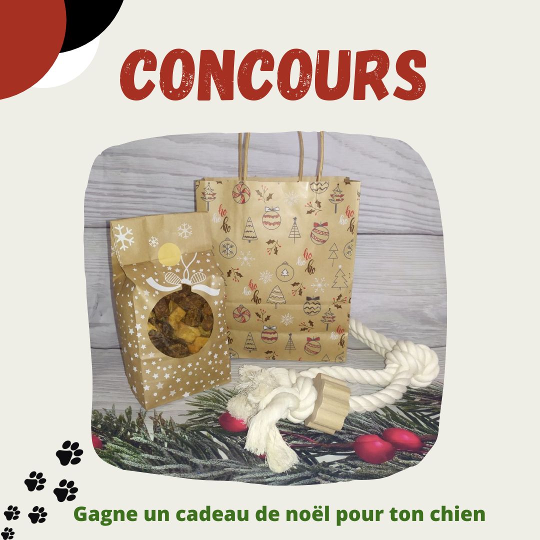Instagram contest