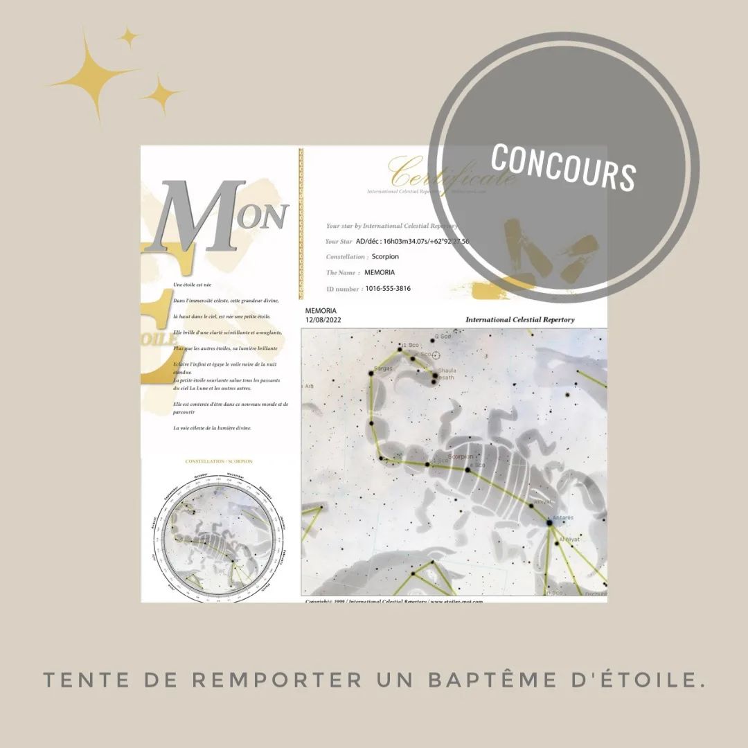 Instagram contest