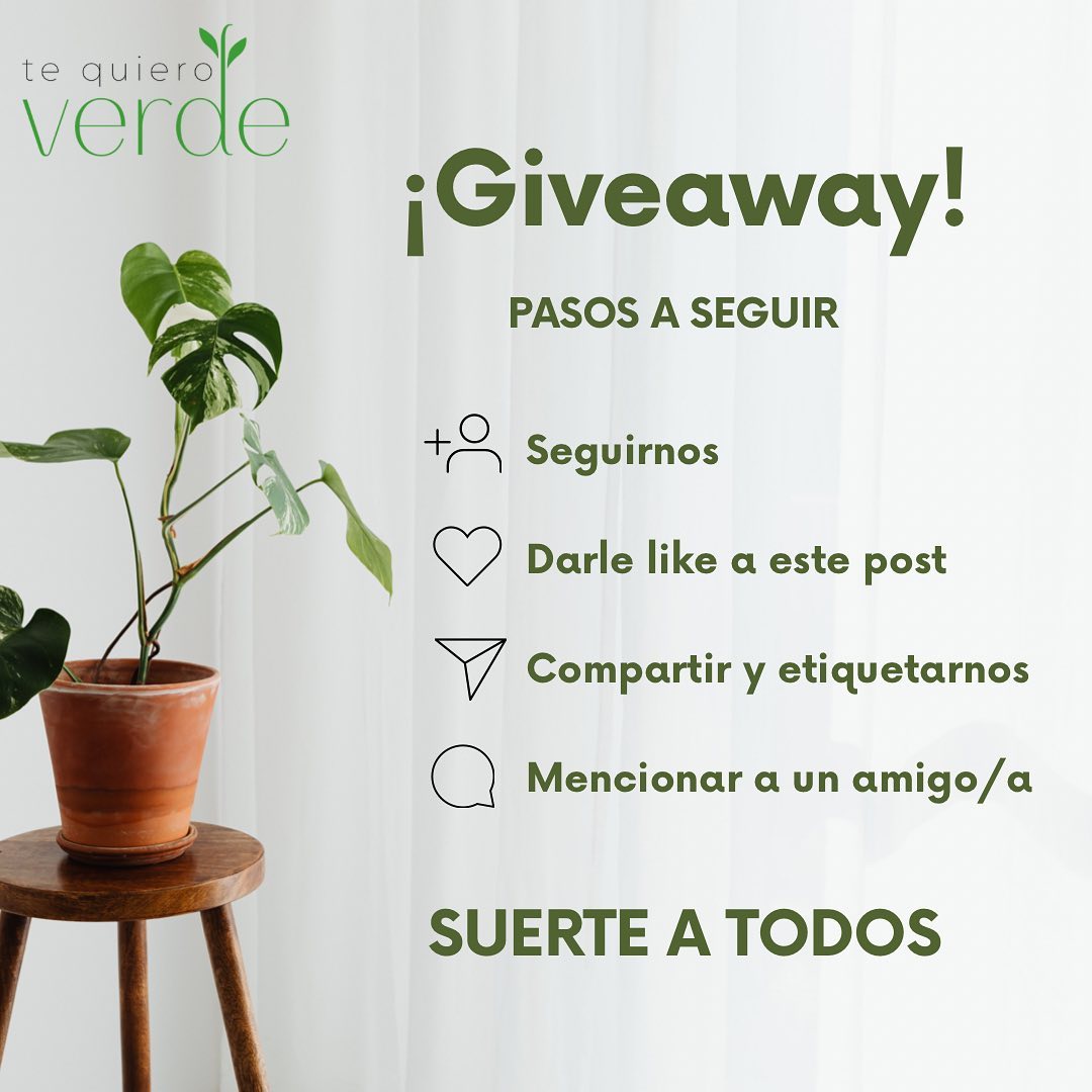 Instagram contest