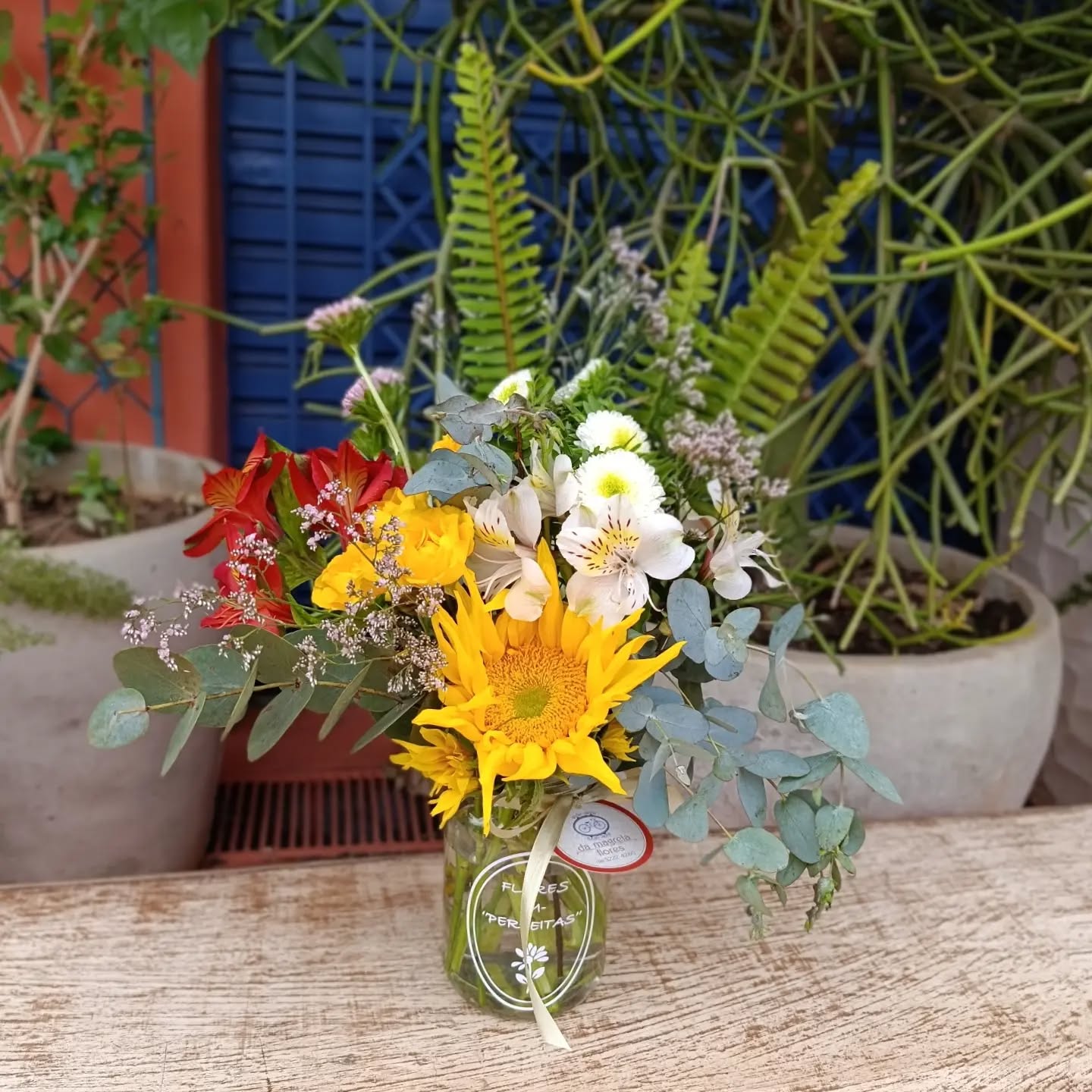 Instagram contest