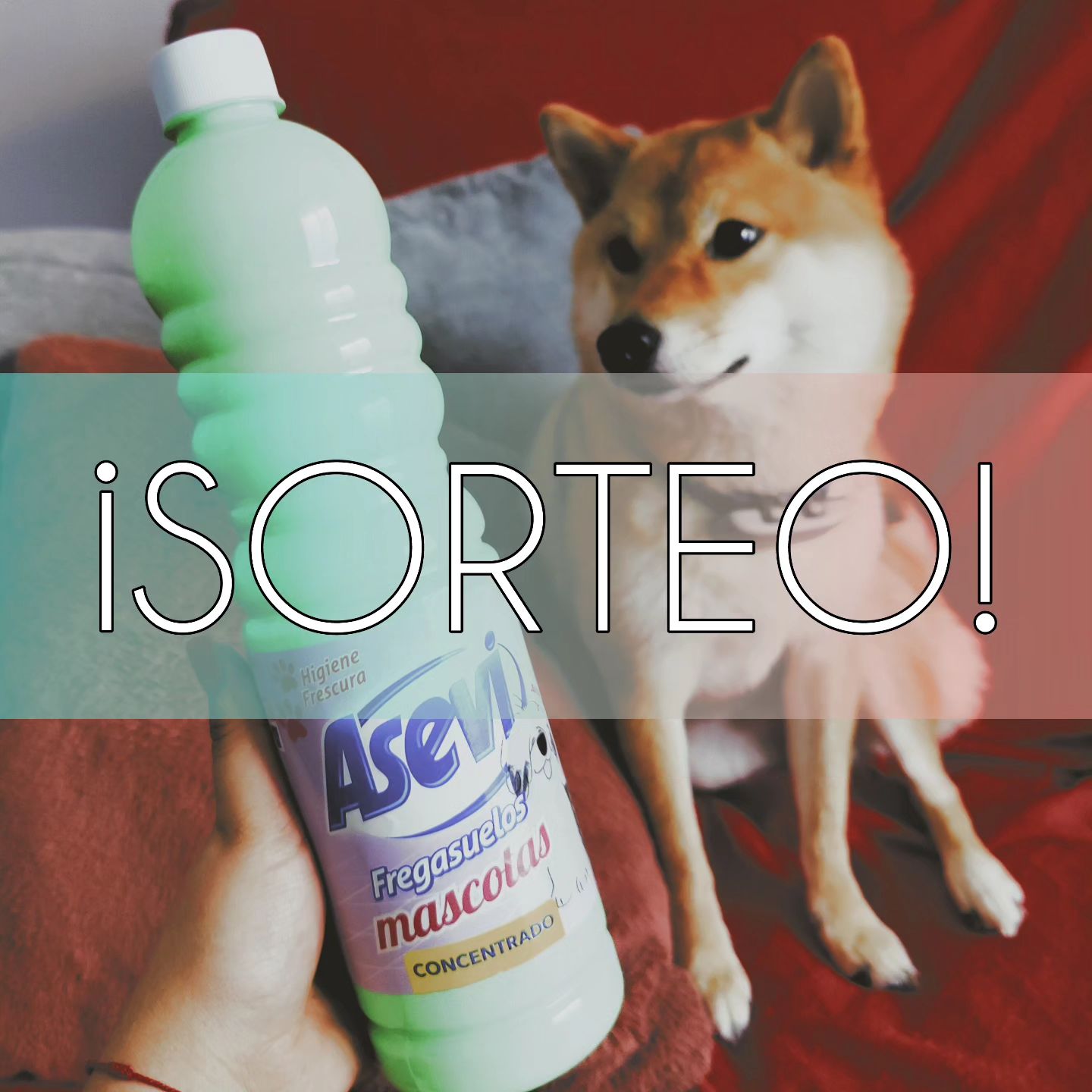 Instagram contest