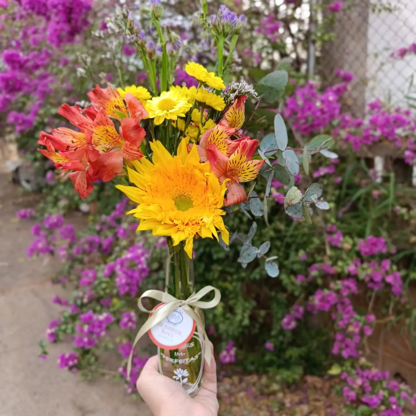Instagram contest
