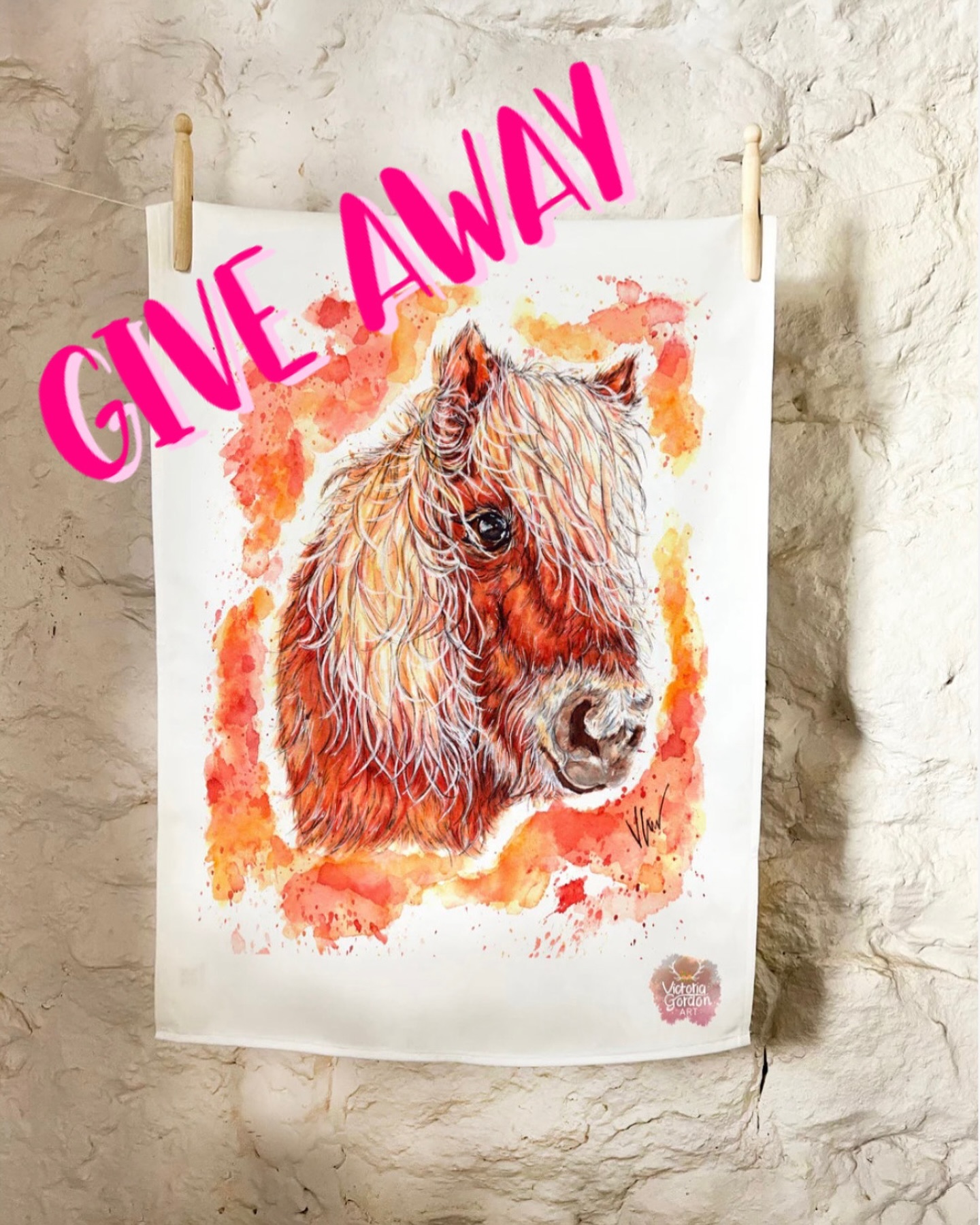 Instagram contest
