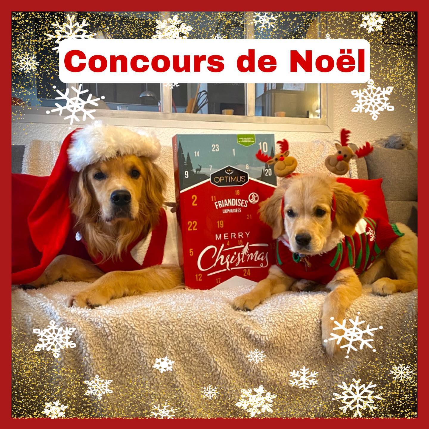 instagram contest
