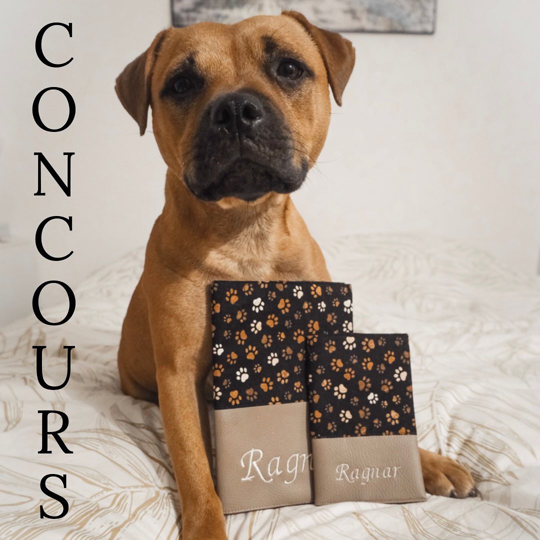Instagram contest