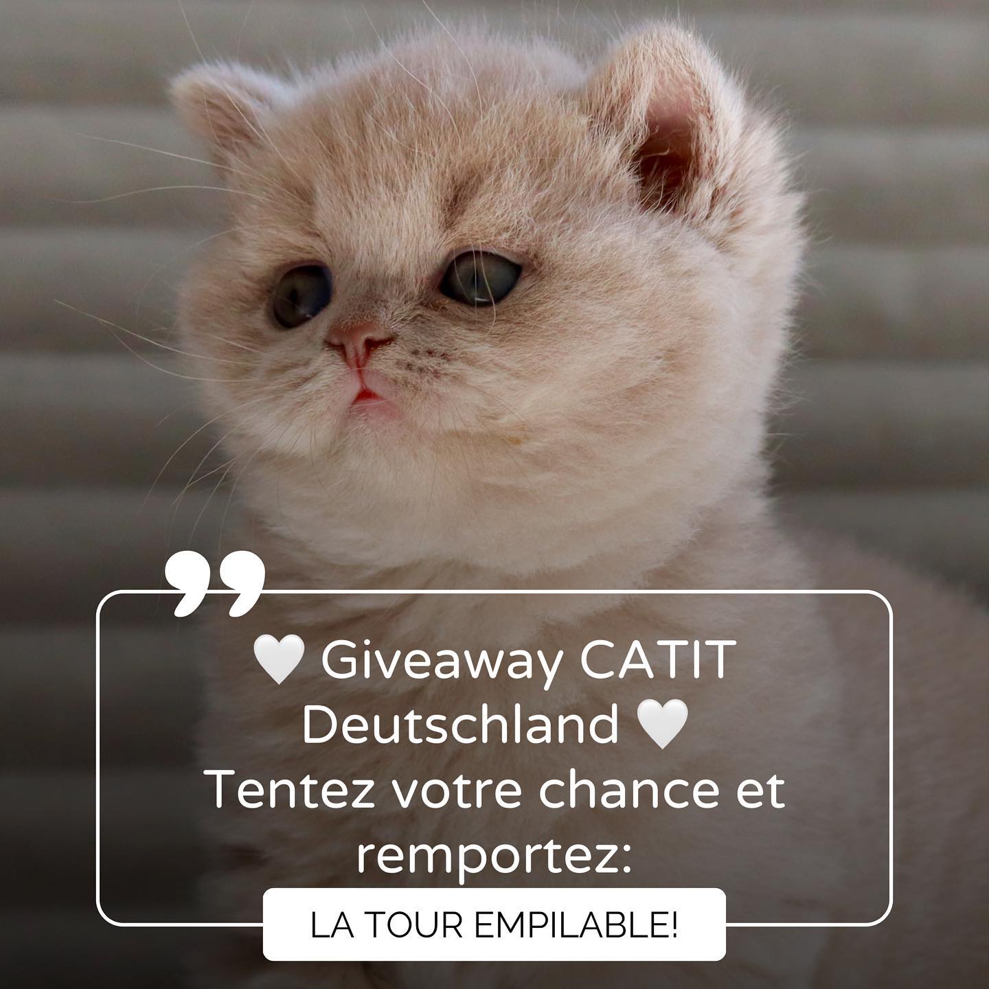 Instagram contest