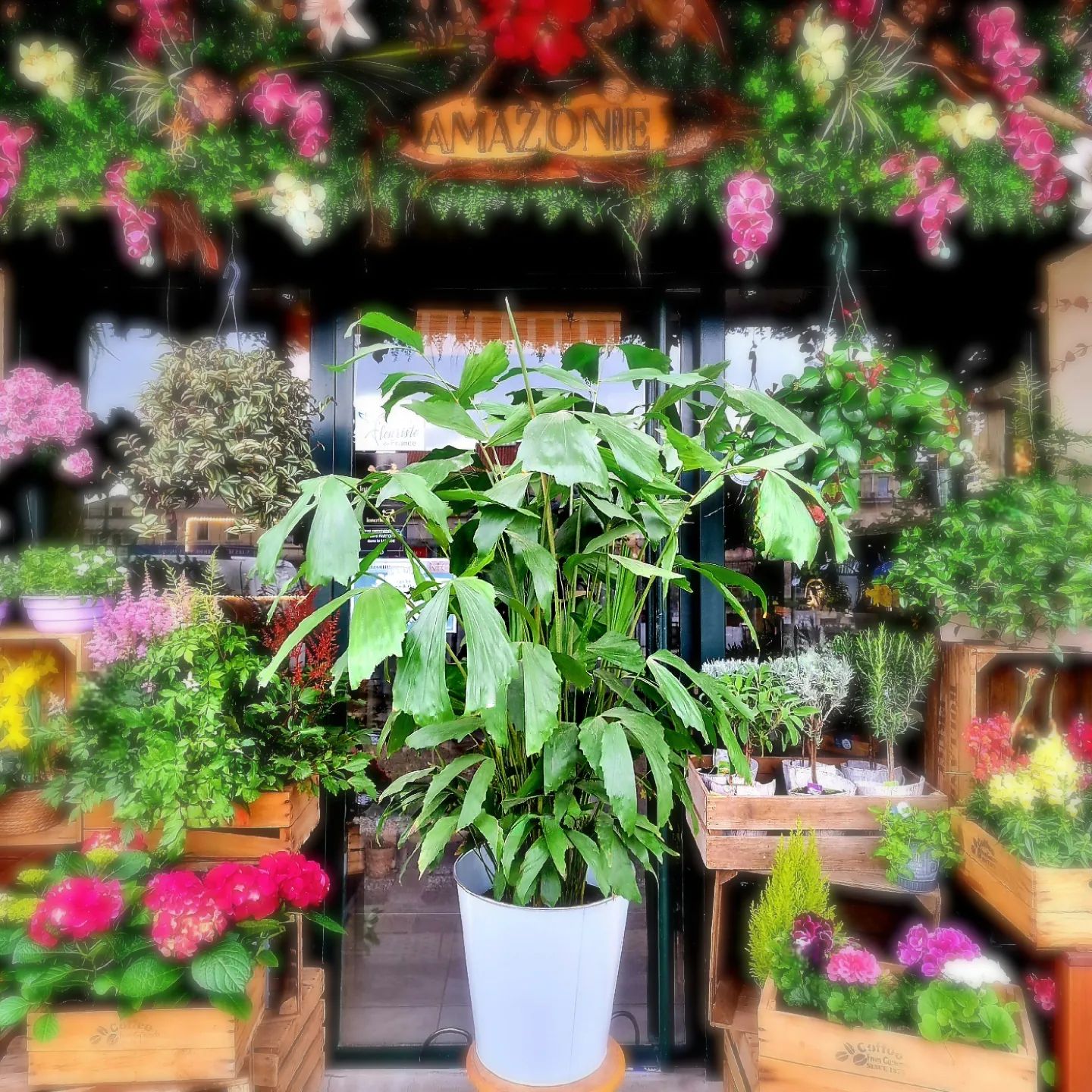 Instagram contest