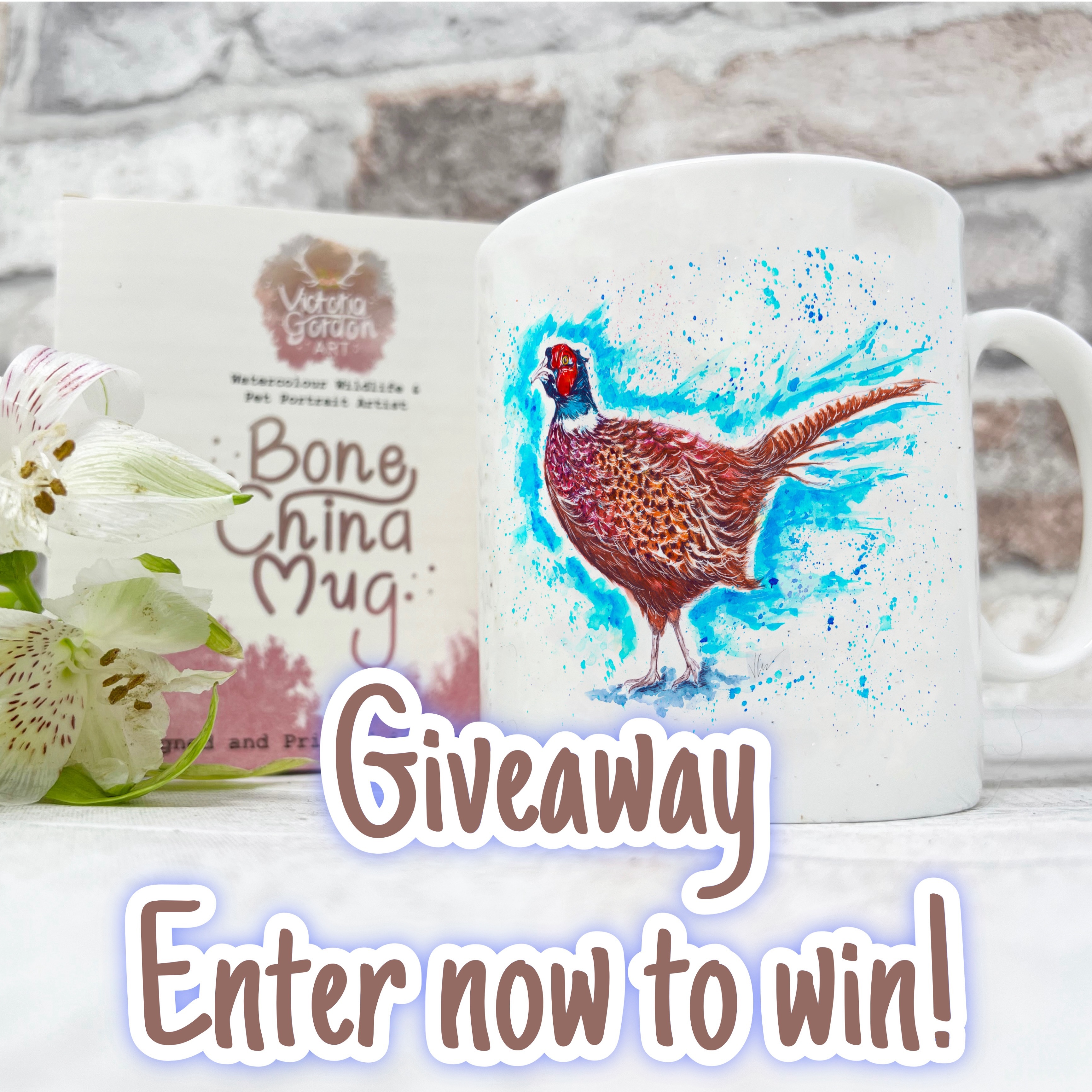 Instagram contest