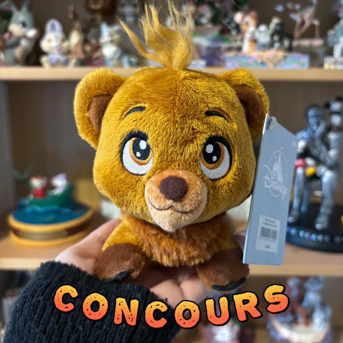 Instagram contest