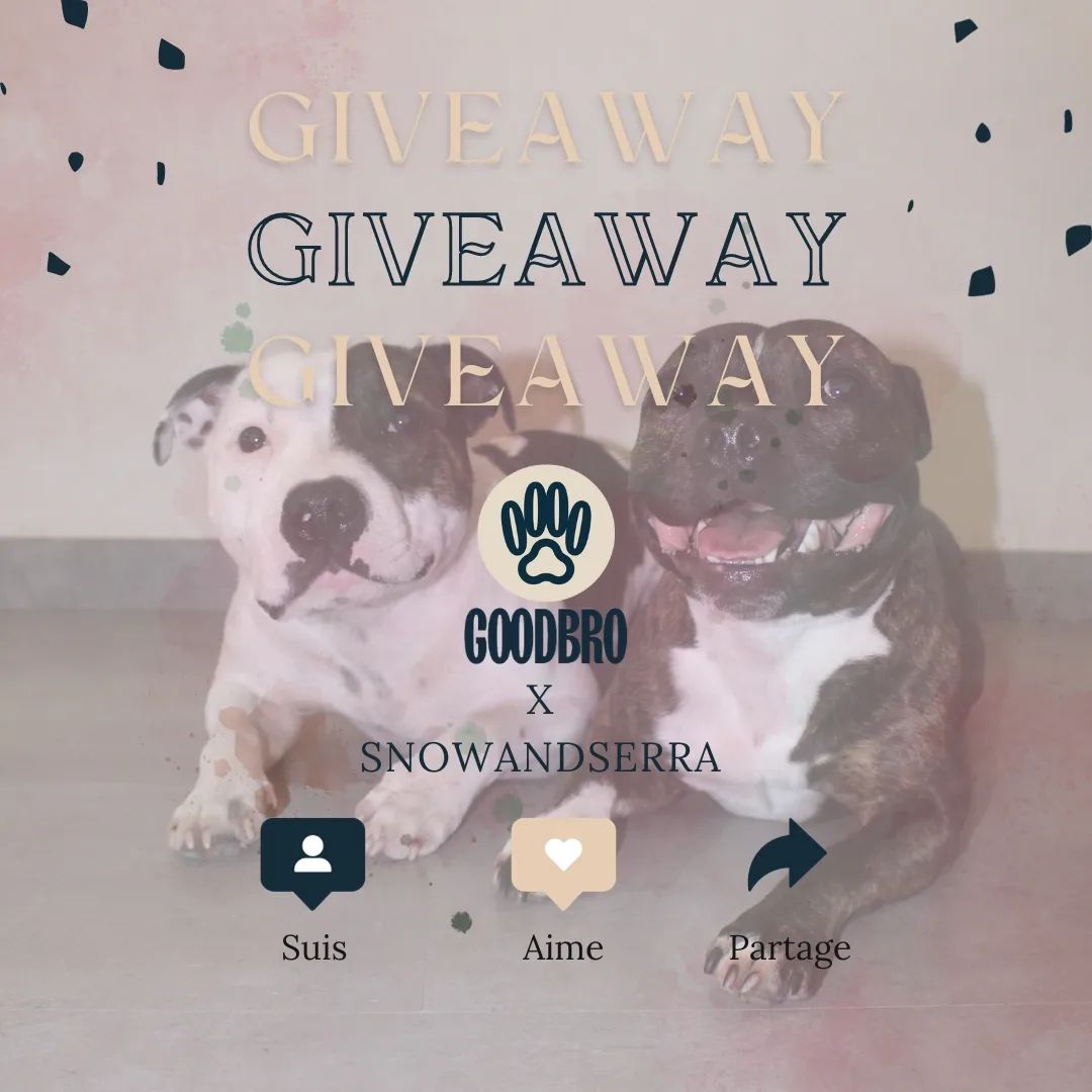Instagram contest