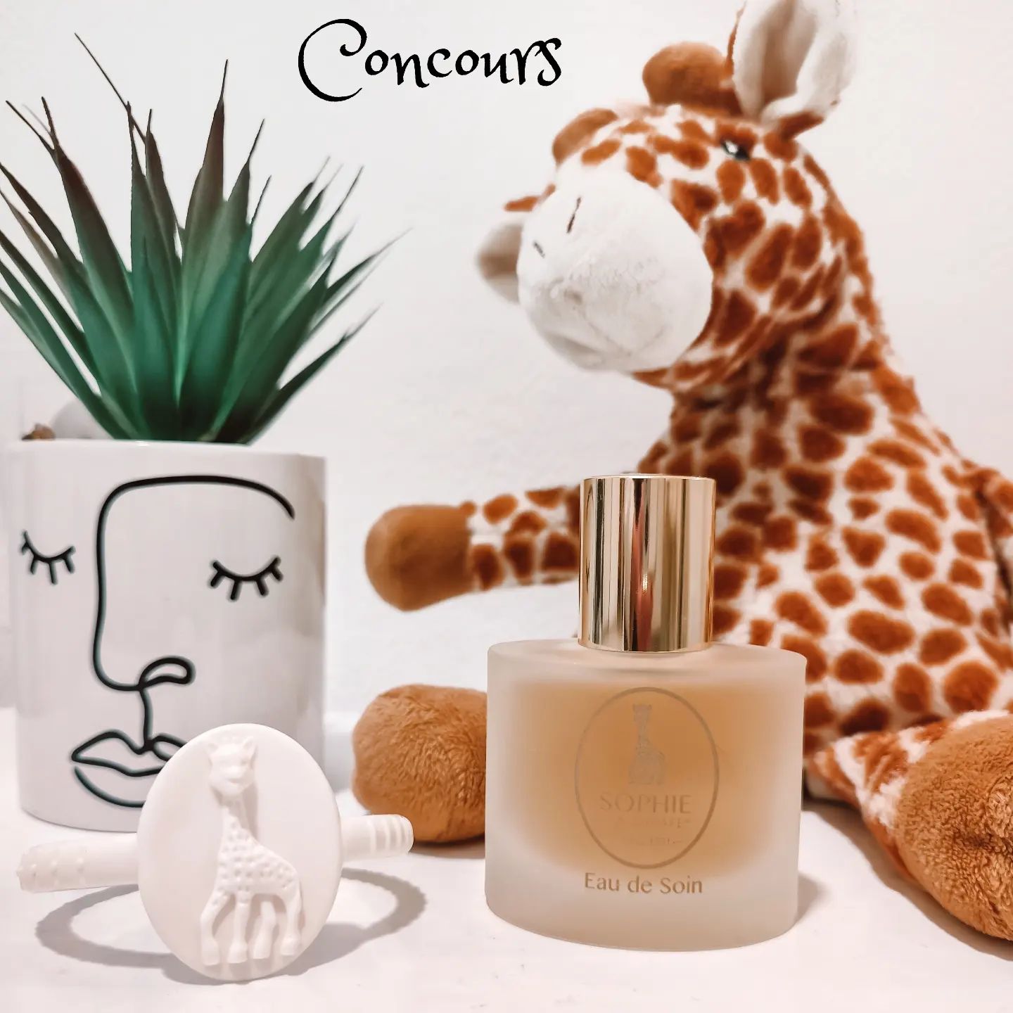 Instagram contest