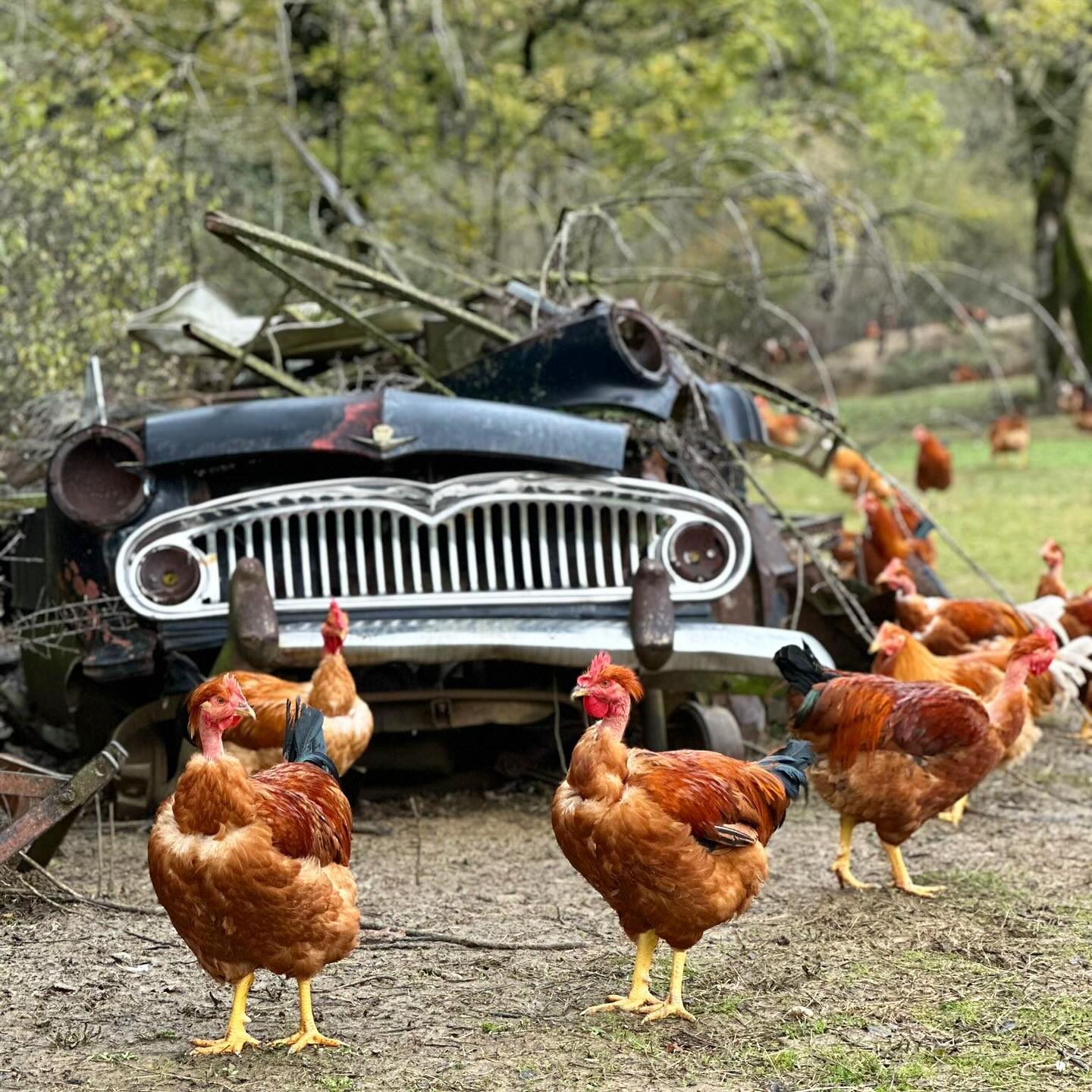 Instagram contest