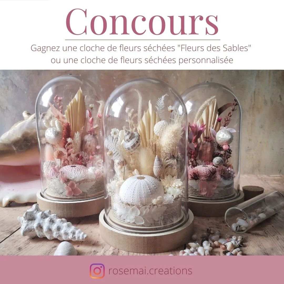 Instagram contest