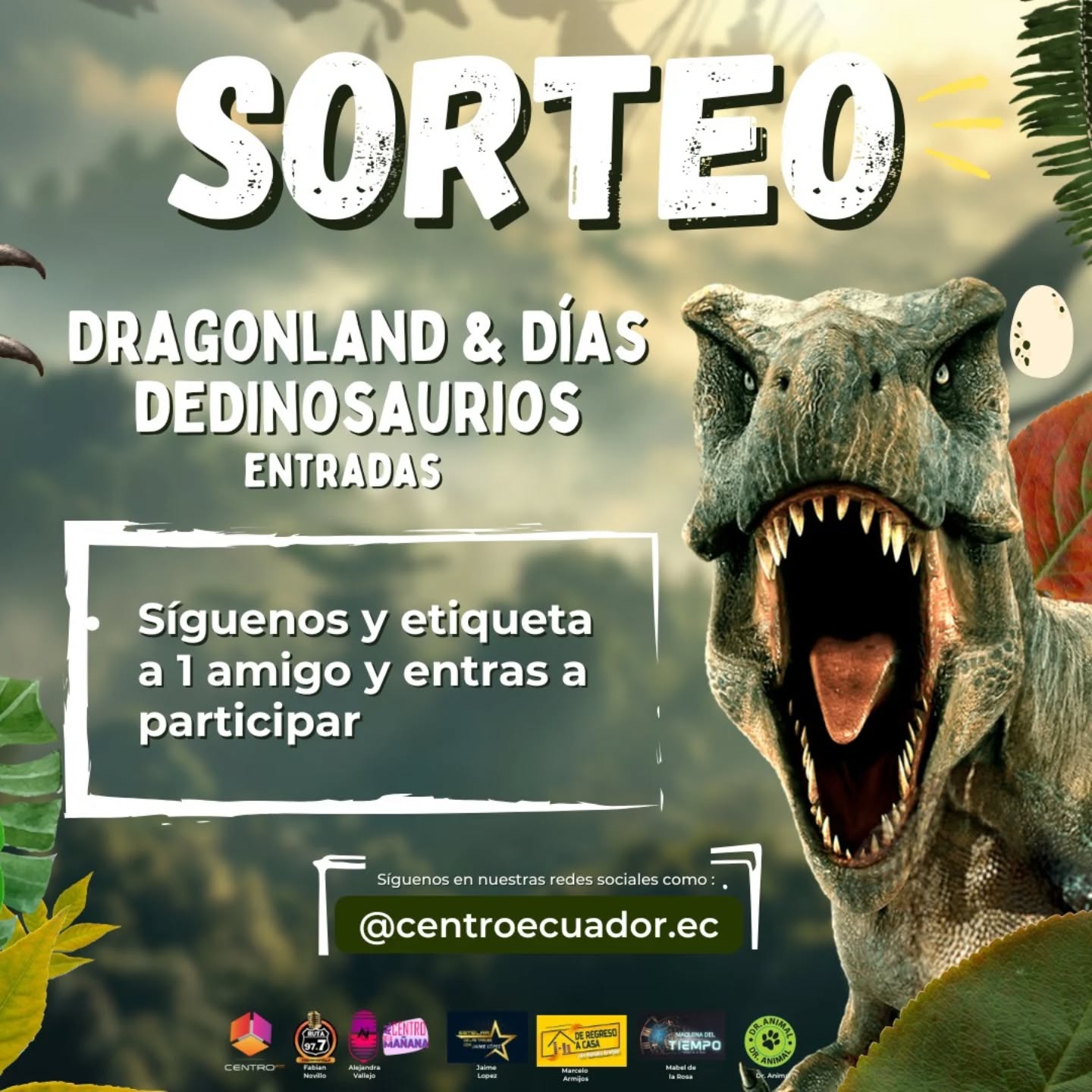 Instagram contest