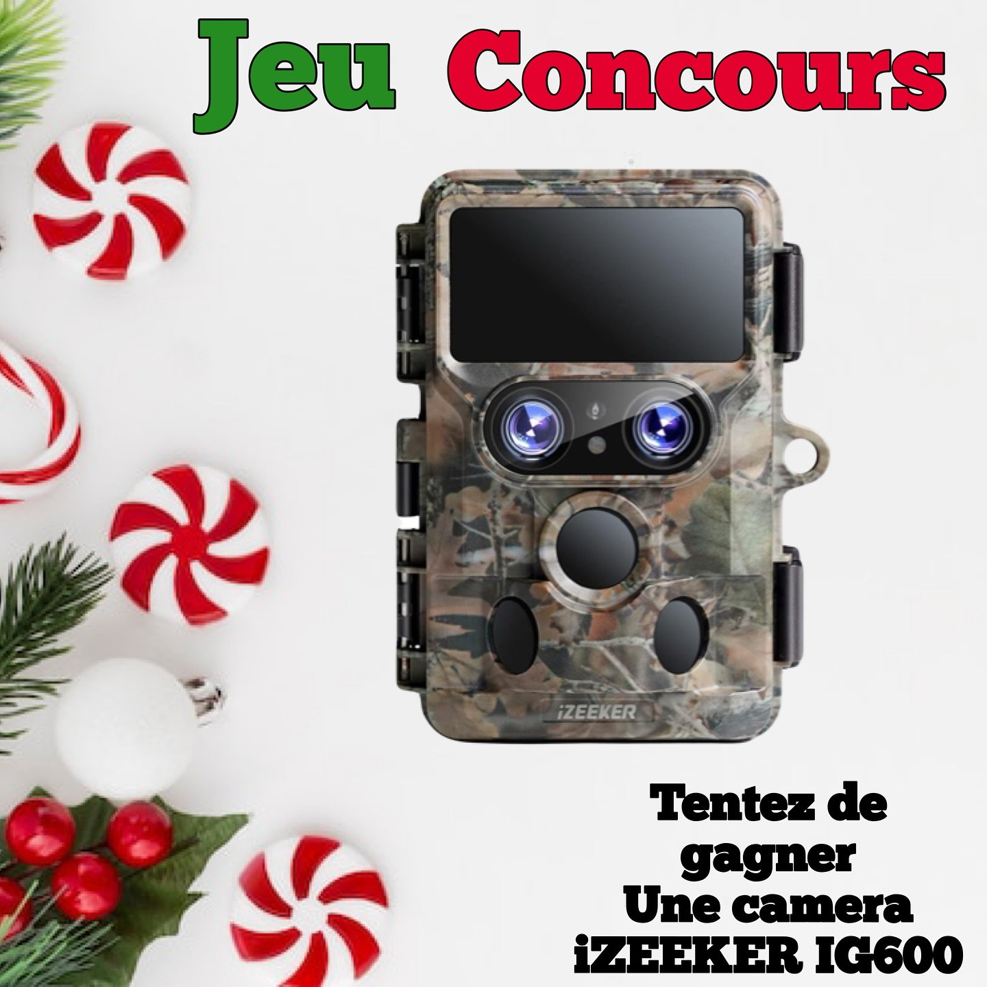 Instagram contest