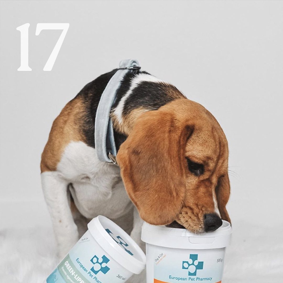 Instagram contest