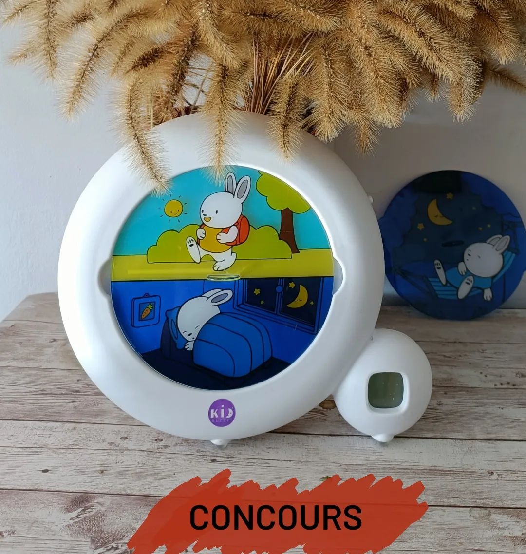 Instagram contest