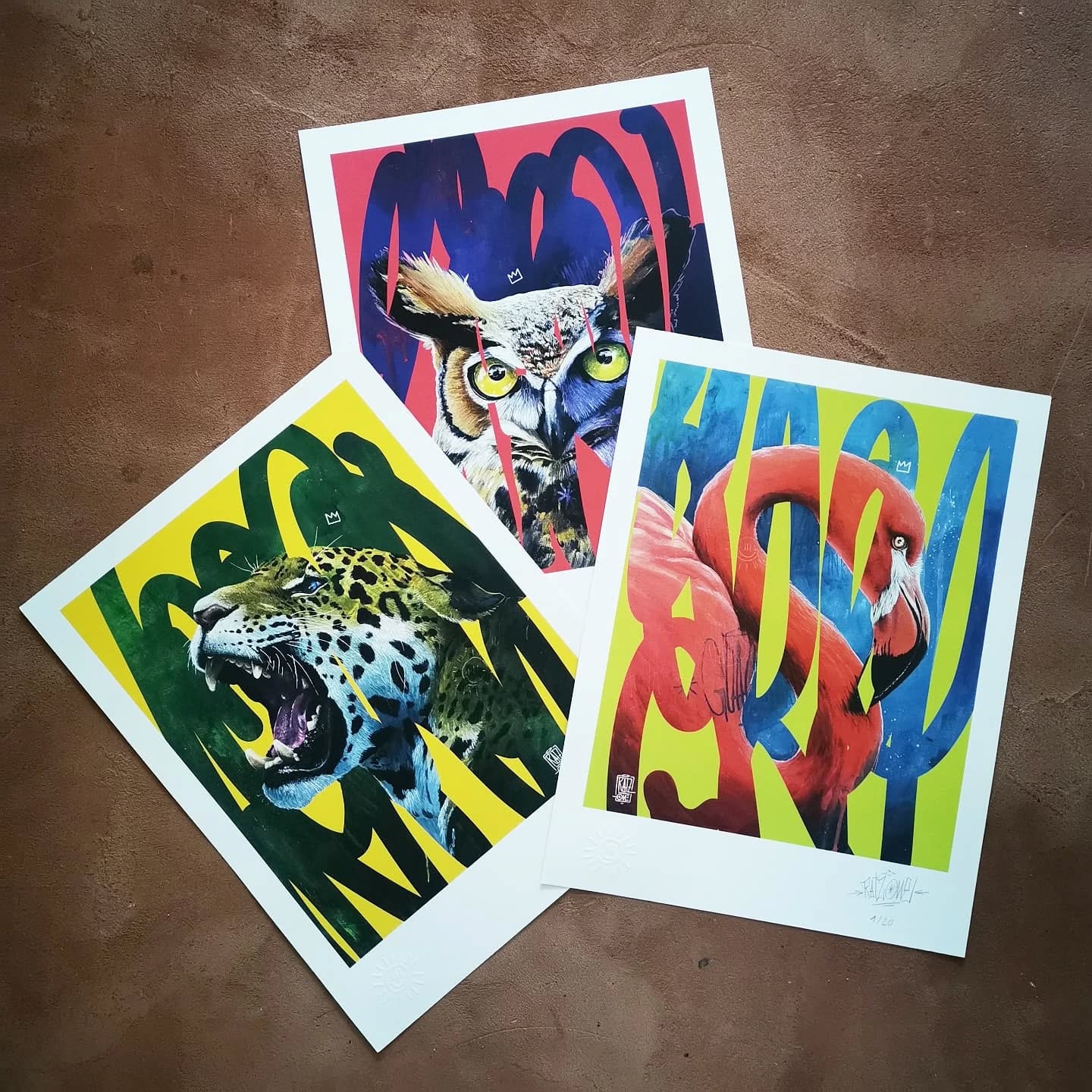 Instagram contest