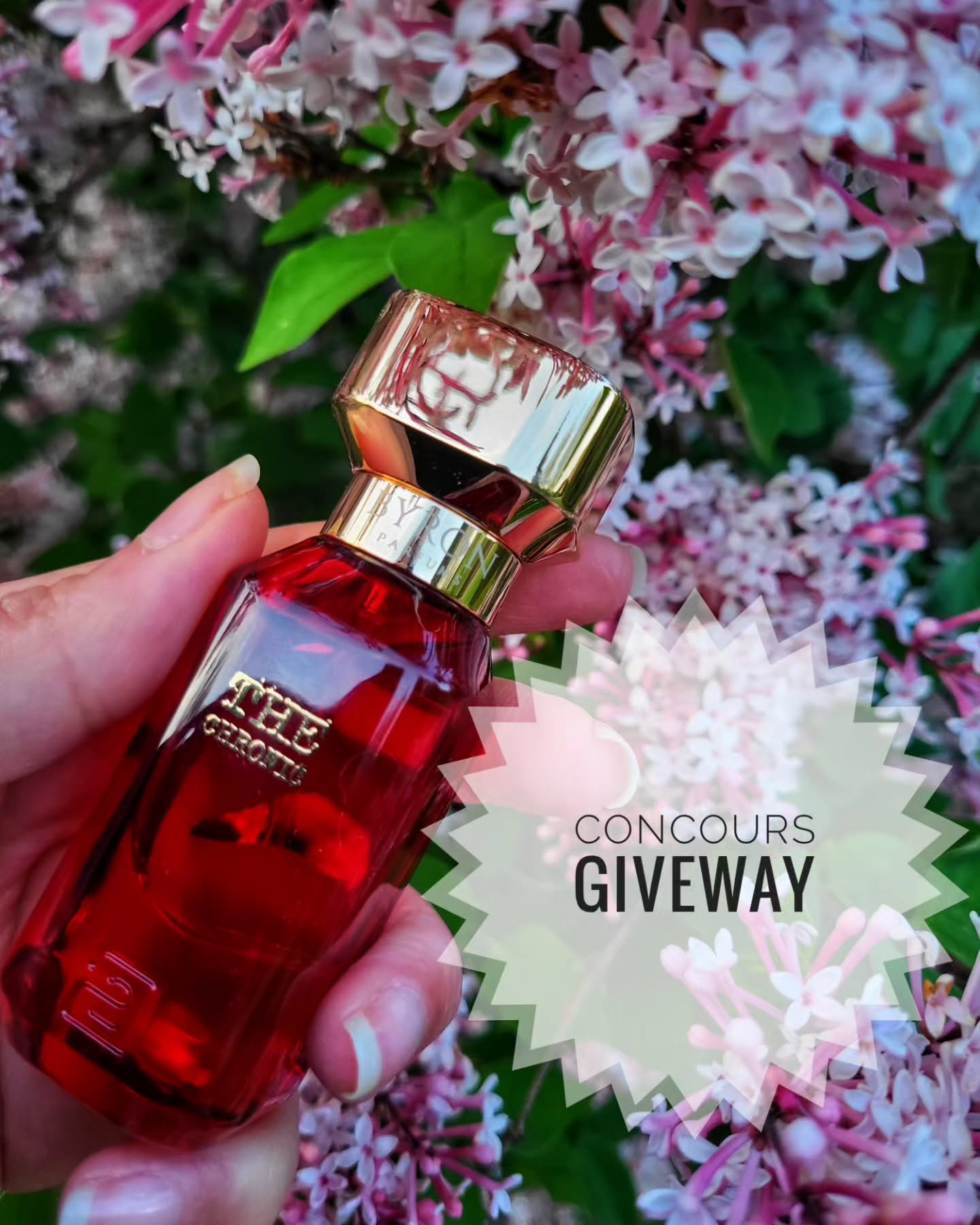 Instagram contest
