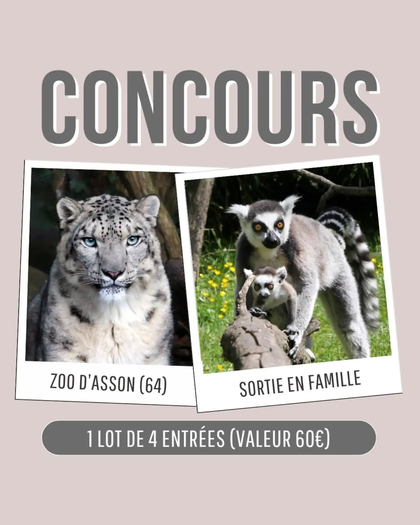 Instagram contest