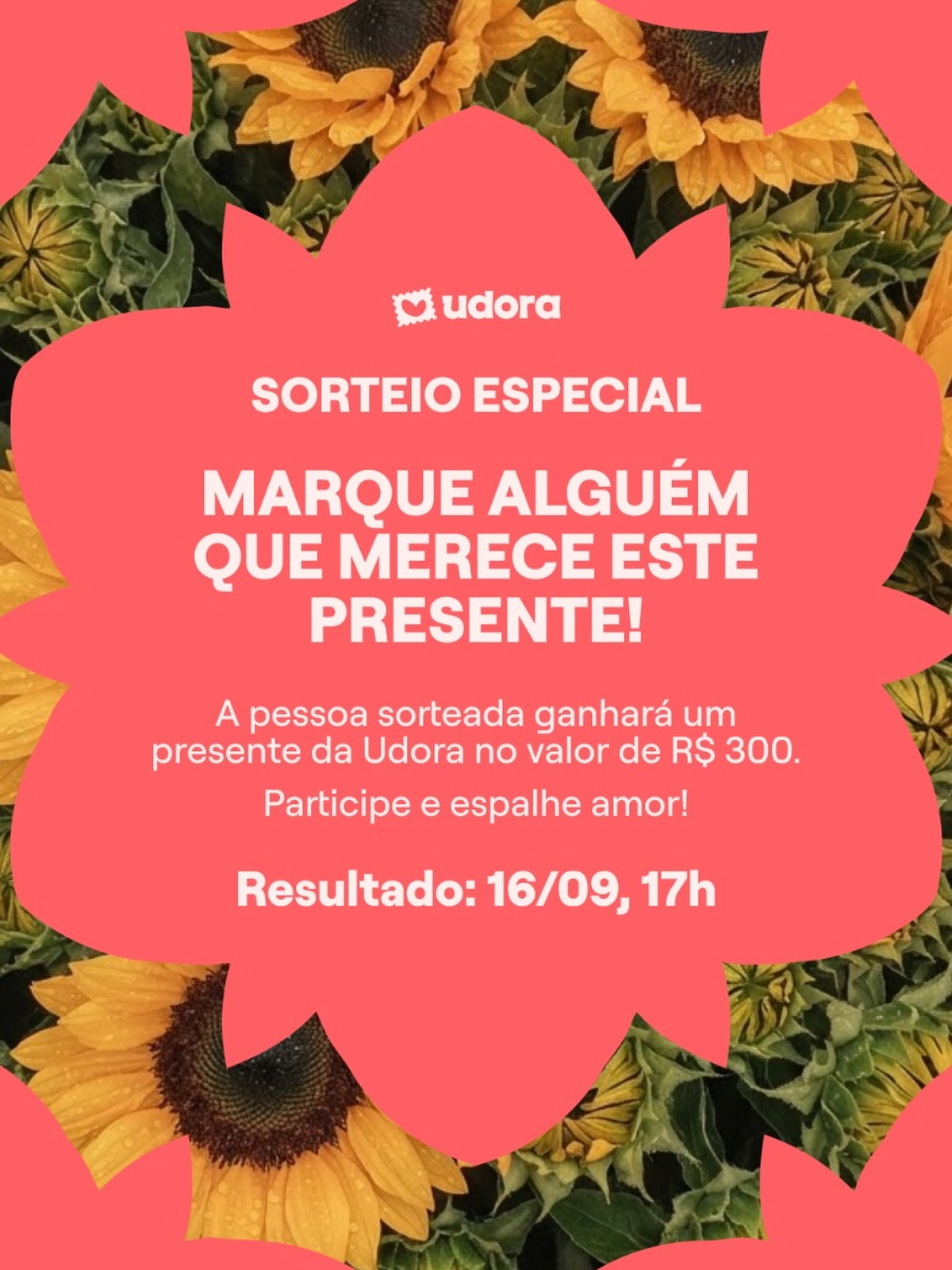 Instagram contest