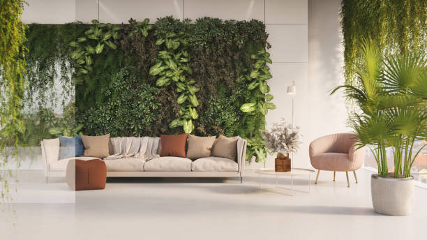 top adelaide home and garden influencers