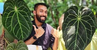 Gardening Influencers