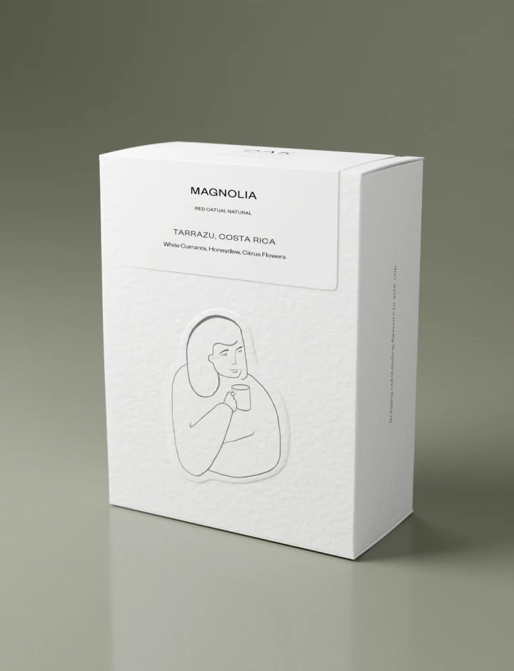 Magnolia