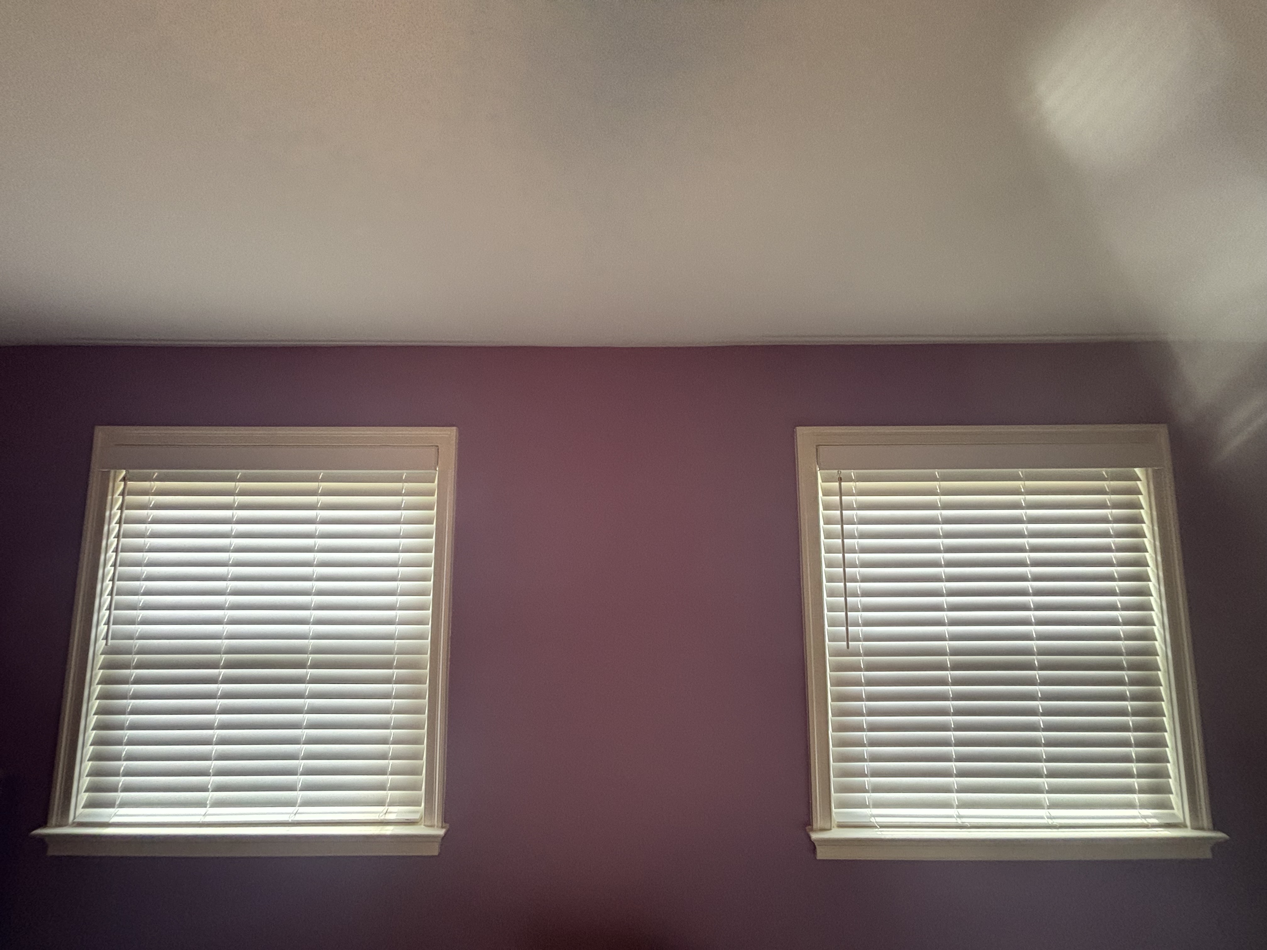 Faux Wood installed in 19152