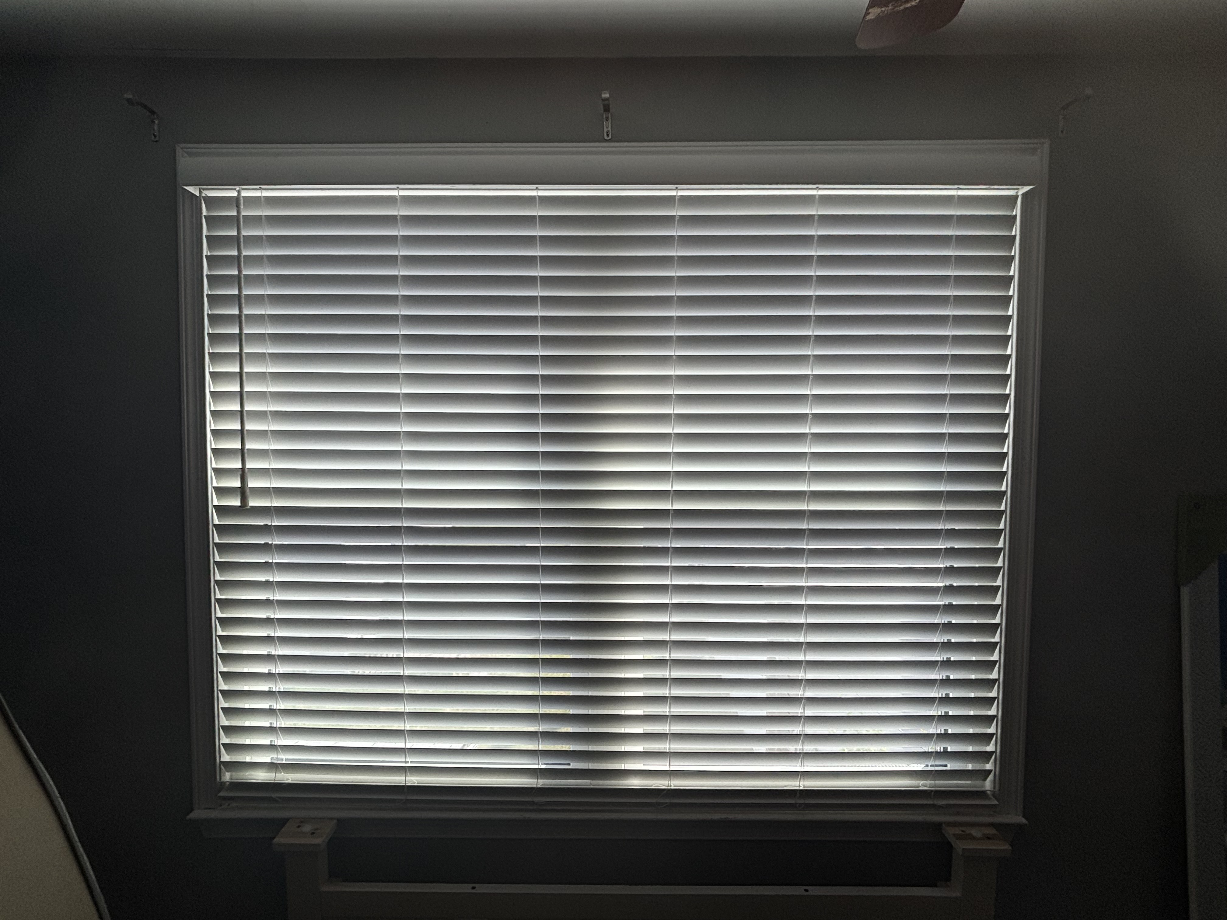 Faux Wood installed in 19111