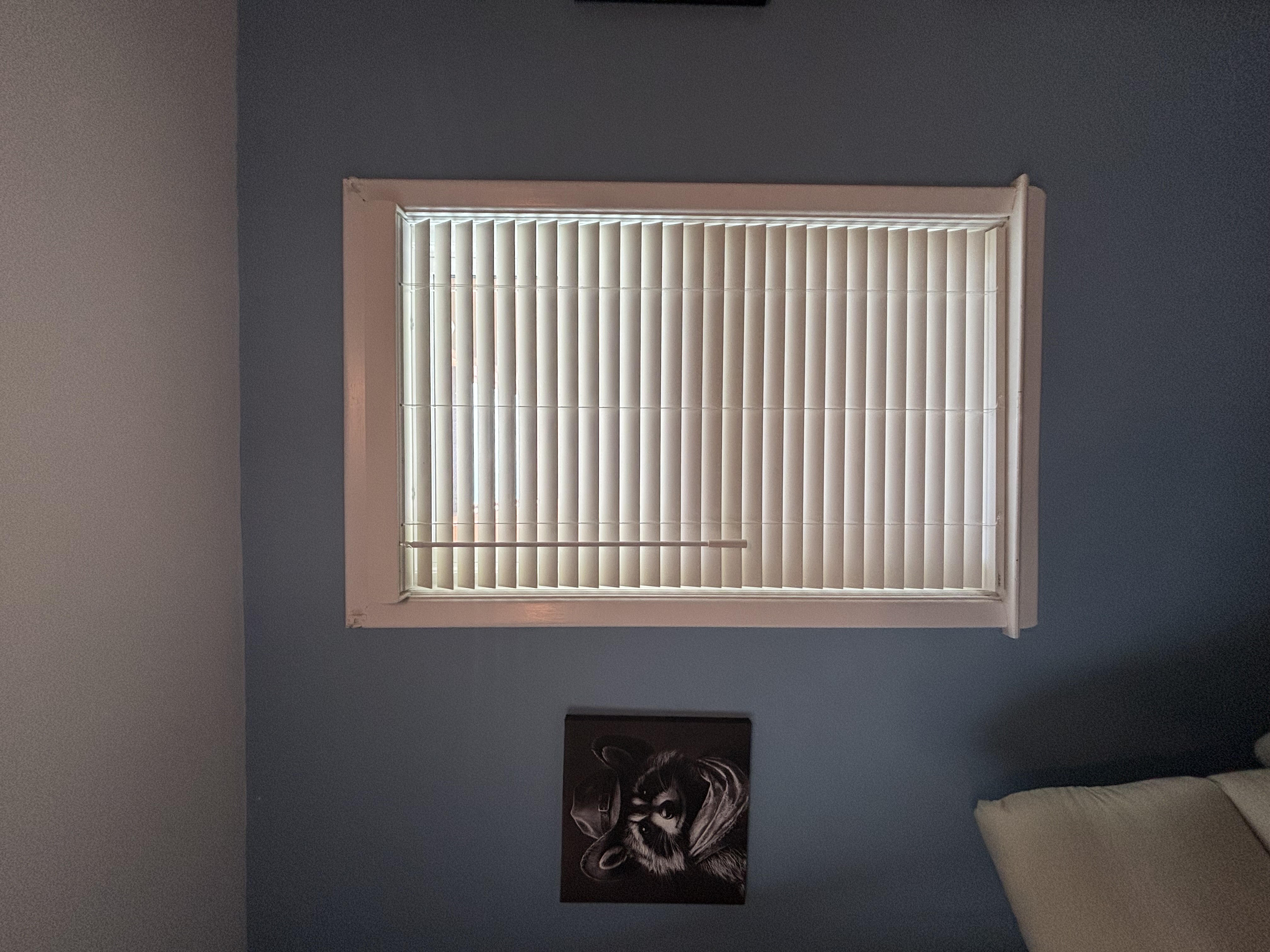 Faux Wood installed in 19111