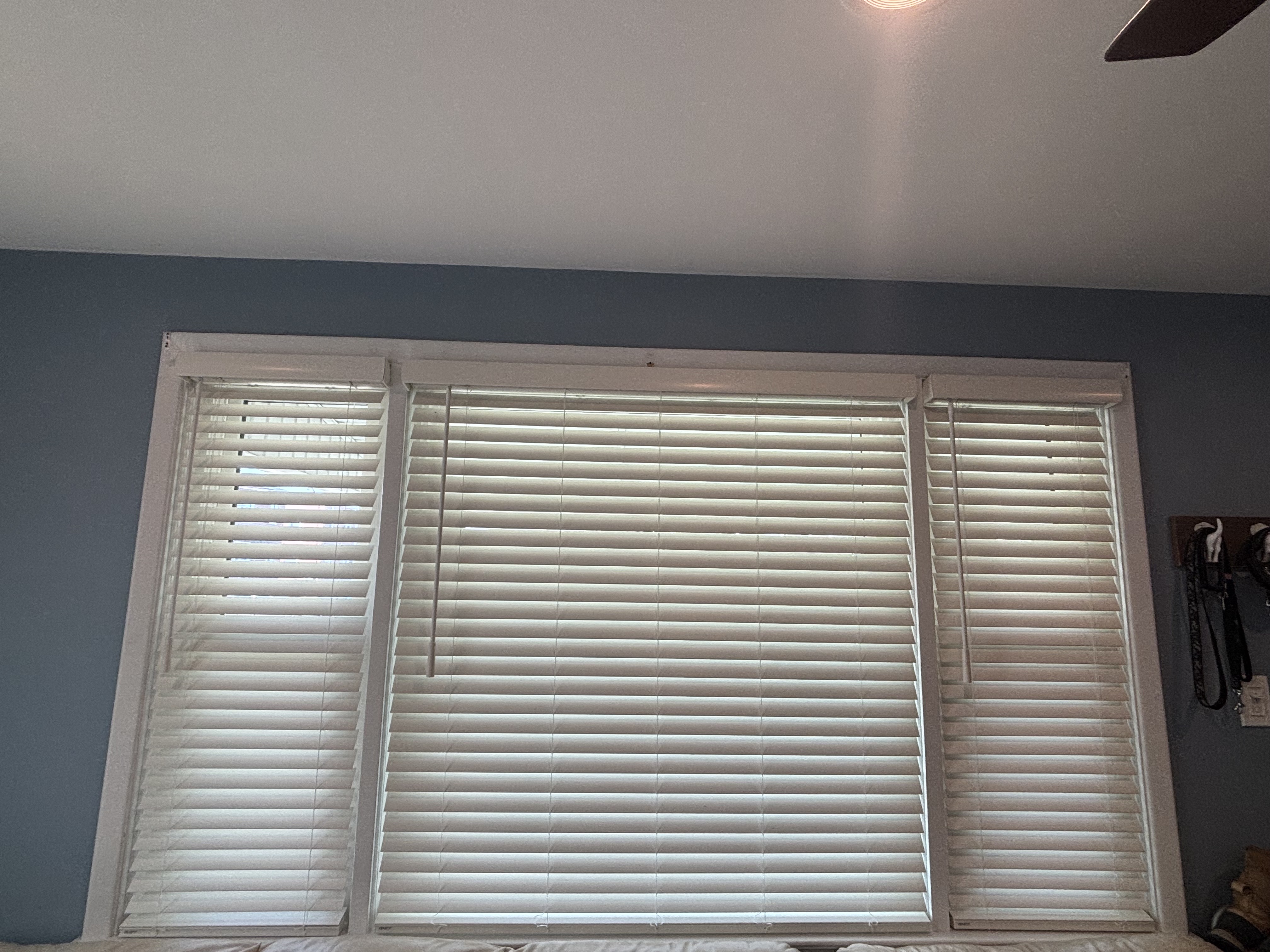 Faux Wood installed in 19111
