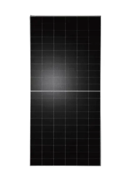 Panneau solaire TW Solar 610 W TWMNH-66HD
