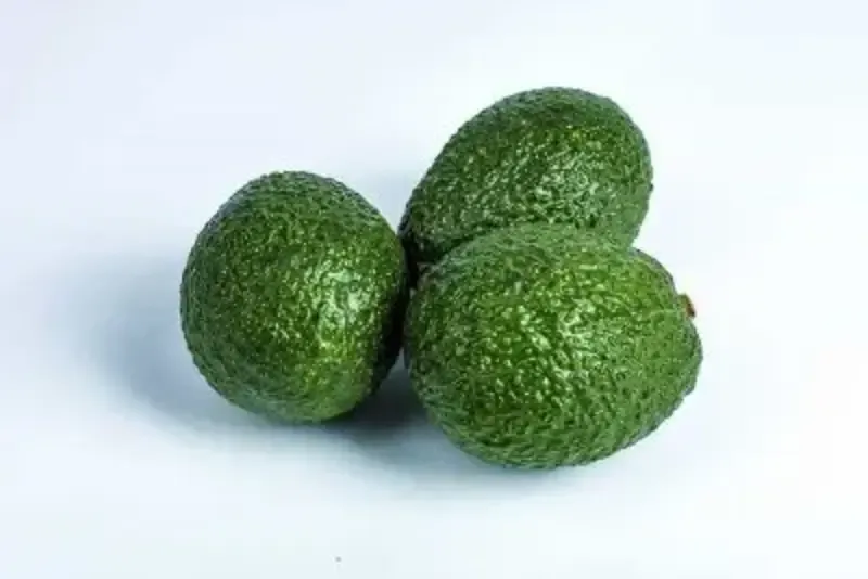 Avocats (4)