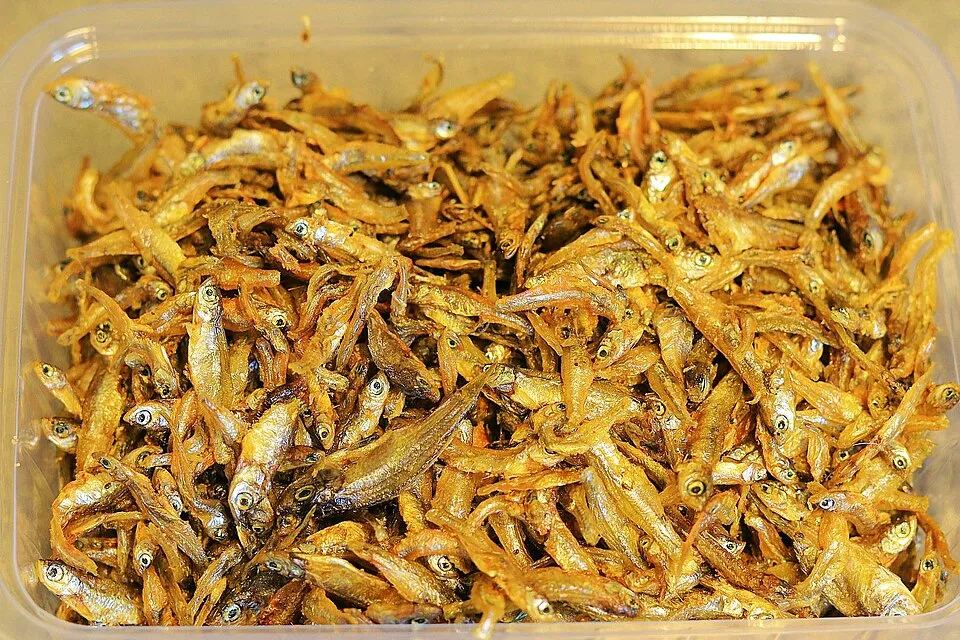 Sambaza séchés 500 g