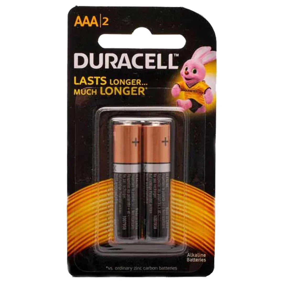 Piles alcalines Duracell AAA, lot de 2