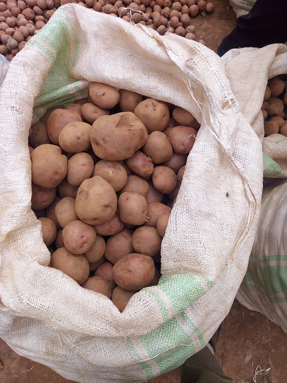 Pommes de terre de Masisi, sac de 25 kg