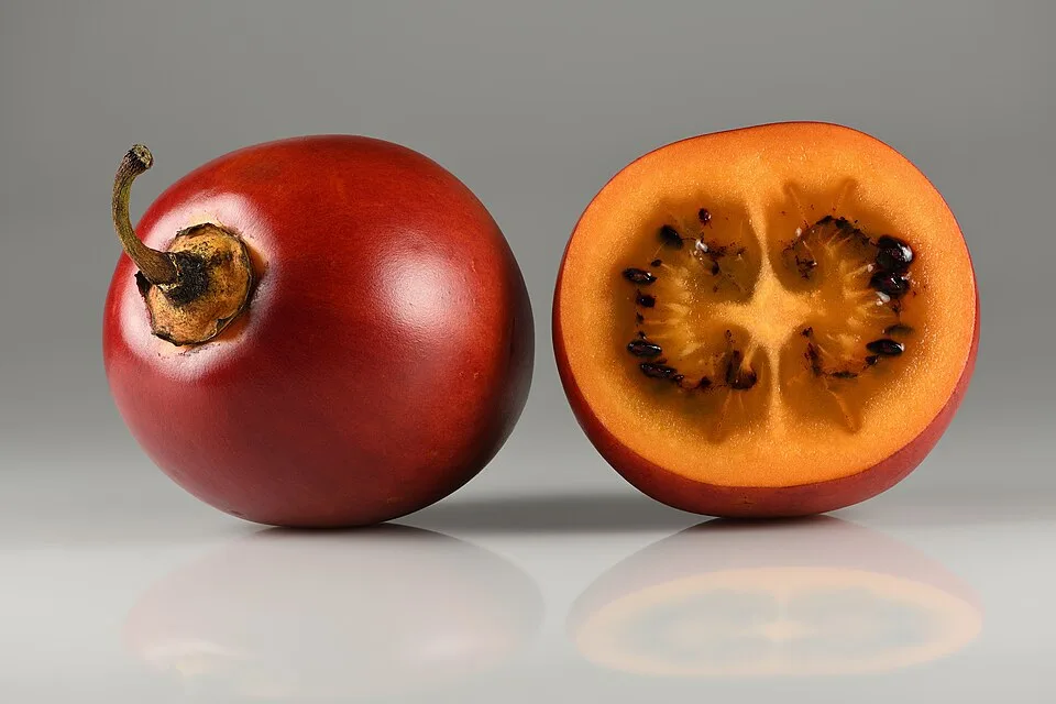 Tomates d’arbre (12)