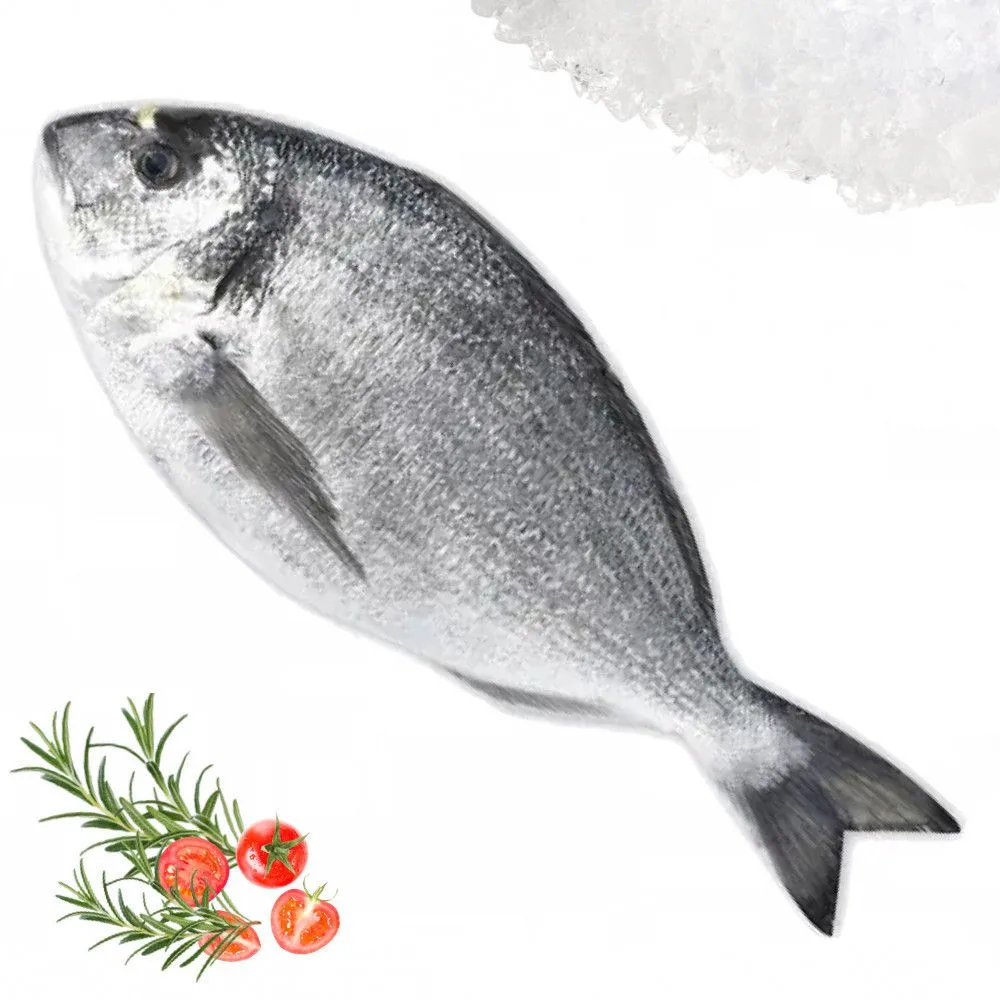 Local sea bream, 1.3 to 1.5 kg