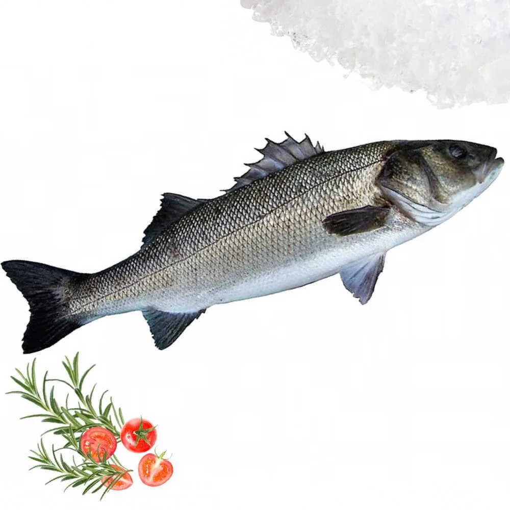Small sea bass (sosso), 1 kg