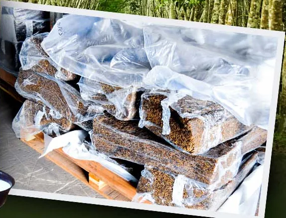 Natural rubber from SAPH