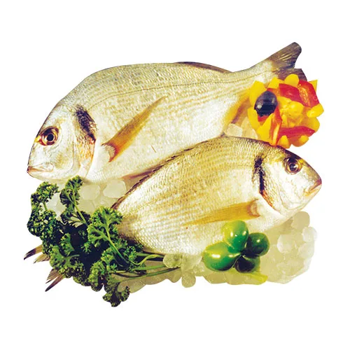 Denise (sea bream) fish, per kg