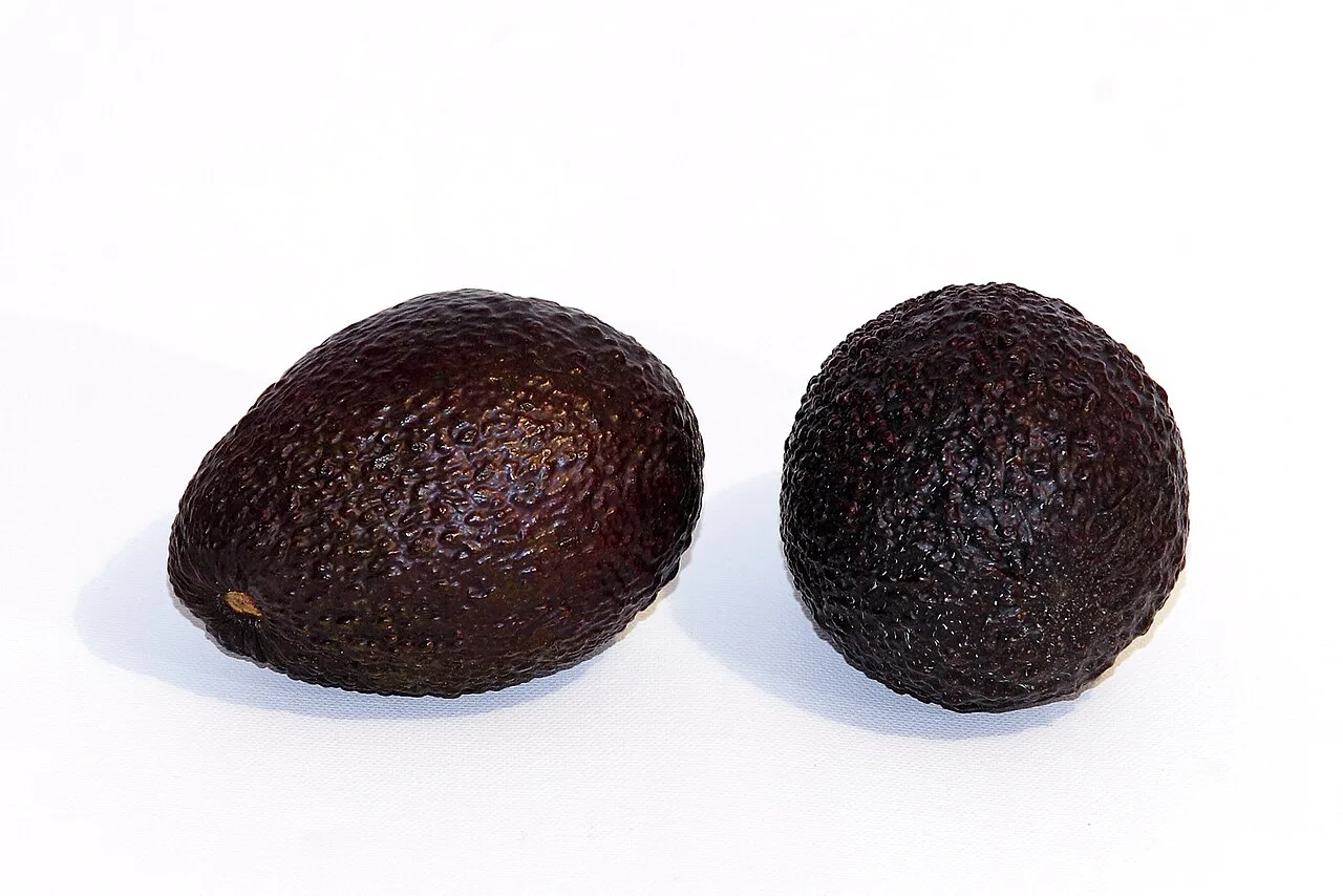 Avocados, 1 kg