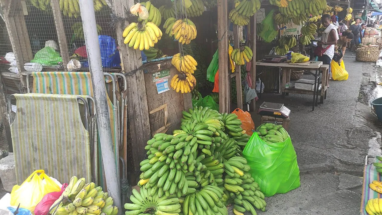 Bananas, 1 kg