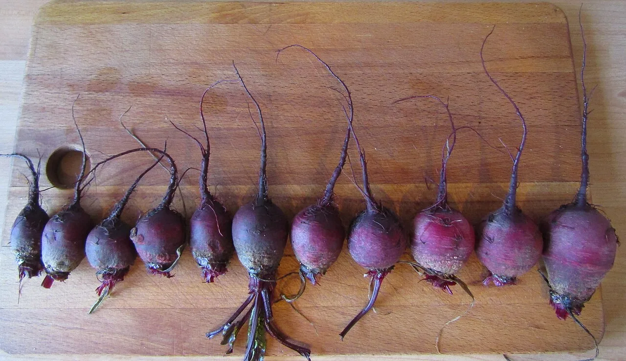 Beetroot (key sir), 1 kg