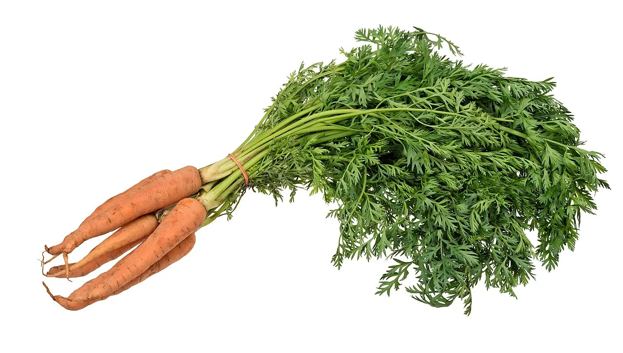 Carrots, 1 kg