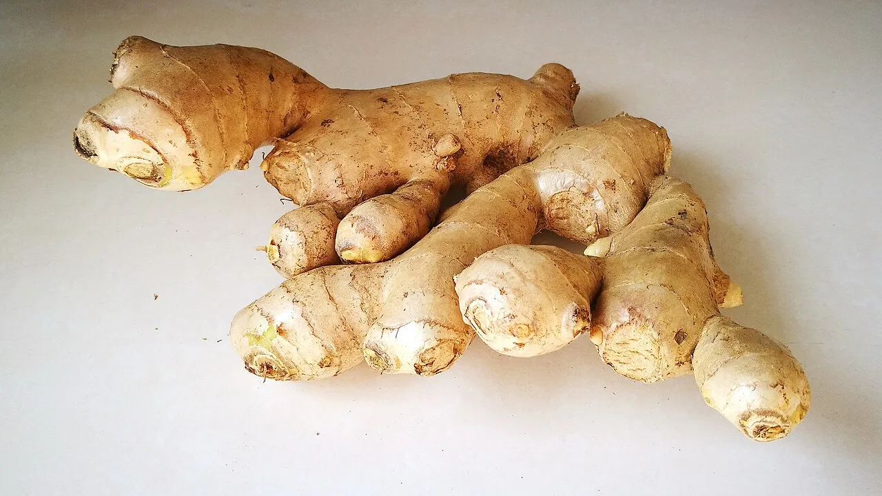 Fresh ginger (zinjibil), 1 kg