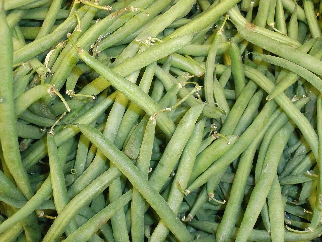 Green beans (fosolia), 1 kg