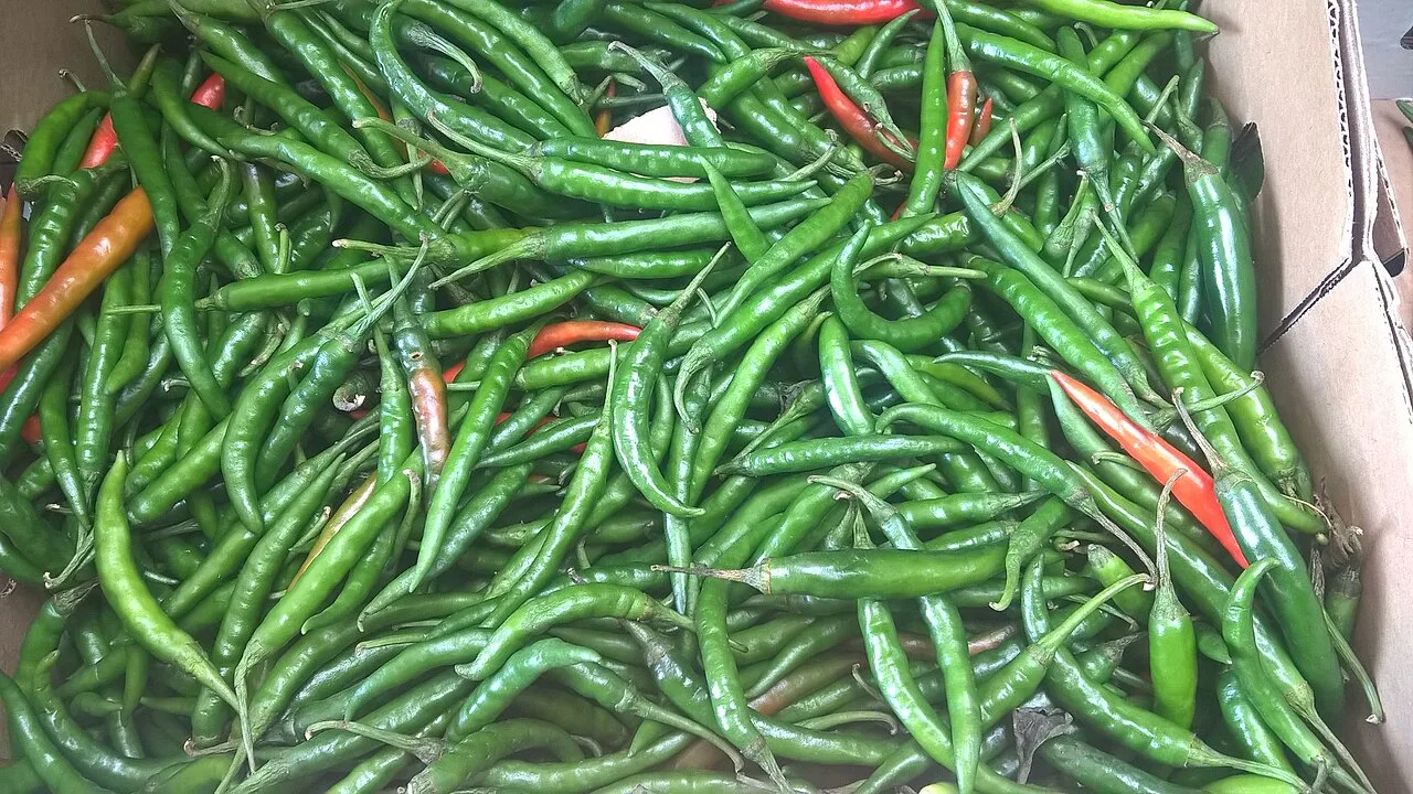 Green chillies (kariya), 1 kg