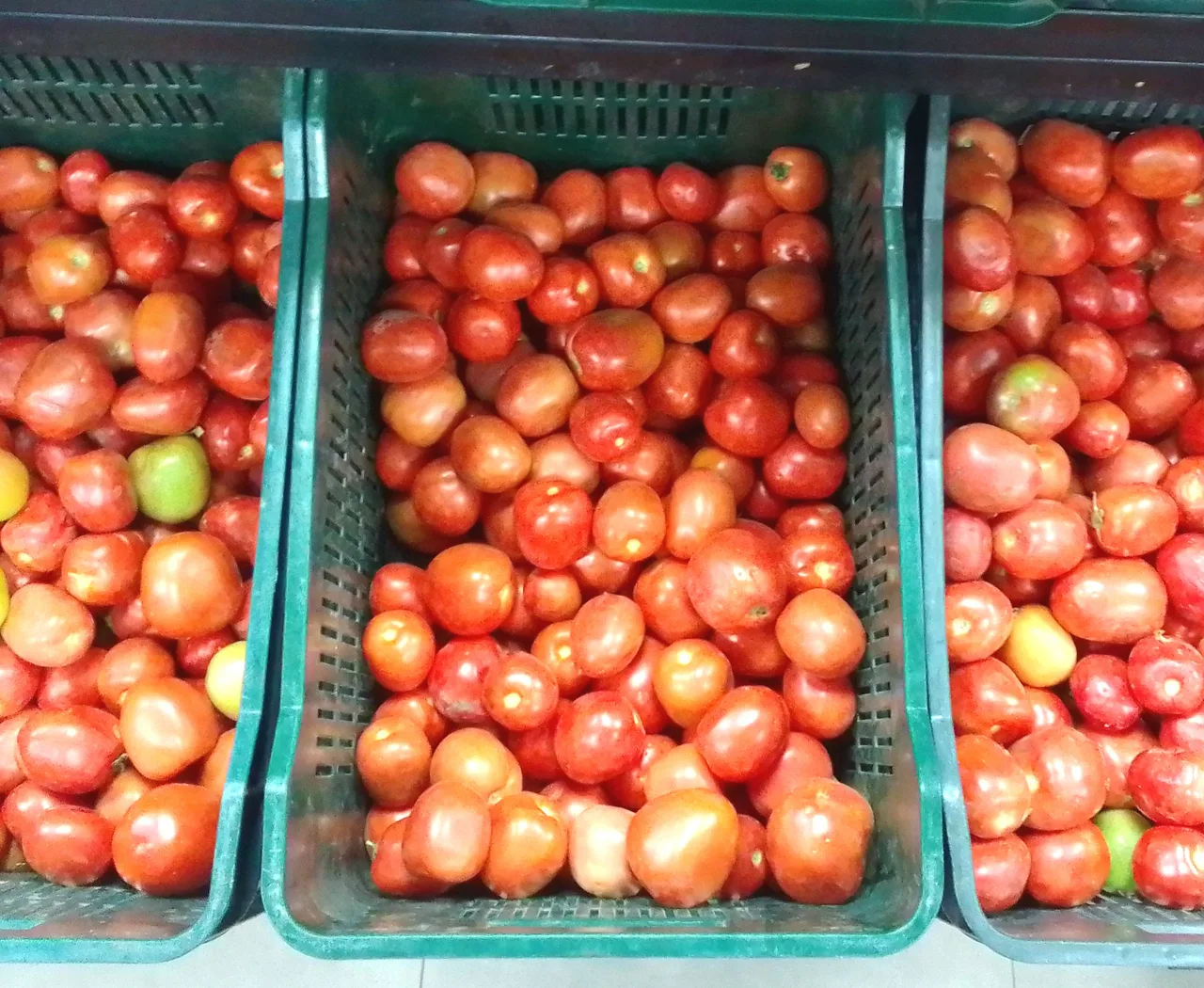 Tomatoes, 1 kg